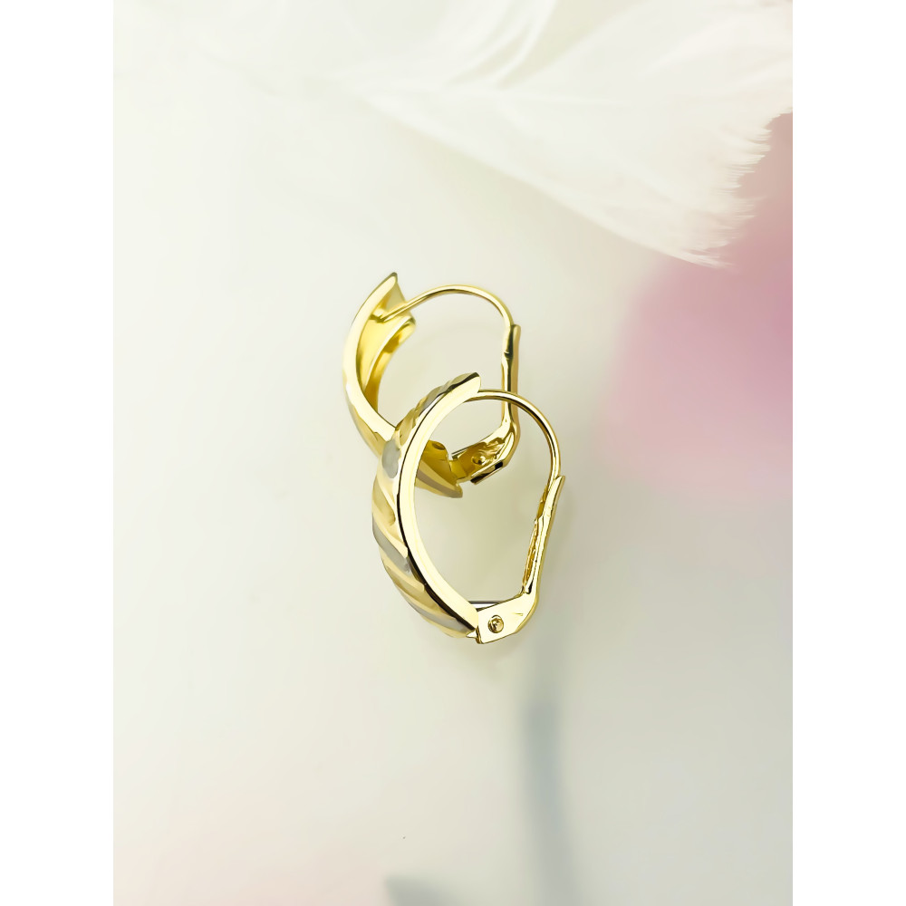 zweifarbig Gold Ohrringe Ohrhänger Ohrstecker Ohrschmuck Paar Gelbgold 585er 14KT